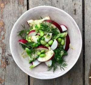 Sommersalat med nektariner, dill og reddiker